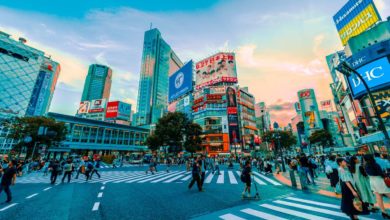 Japan Summer
