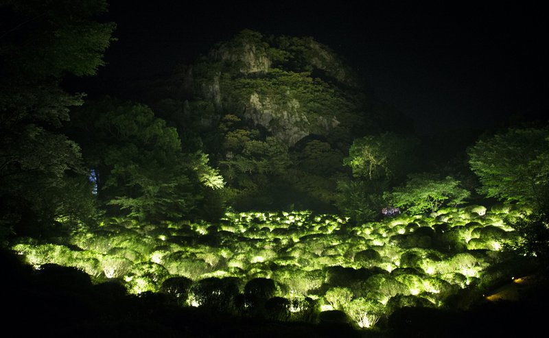 teamLab & Kyushu Hot Spring Tie Up For Artistic Sauna Experience