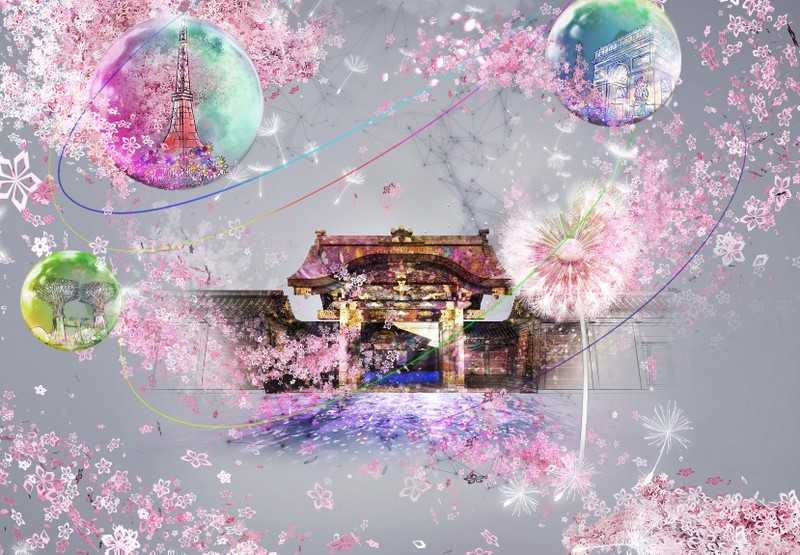 Nijo Castle Cherry Blossom Festival Features Sakura Light up Japan Feast