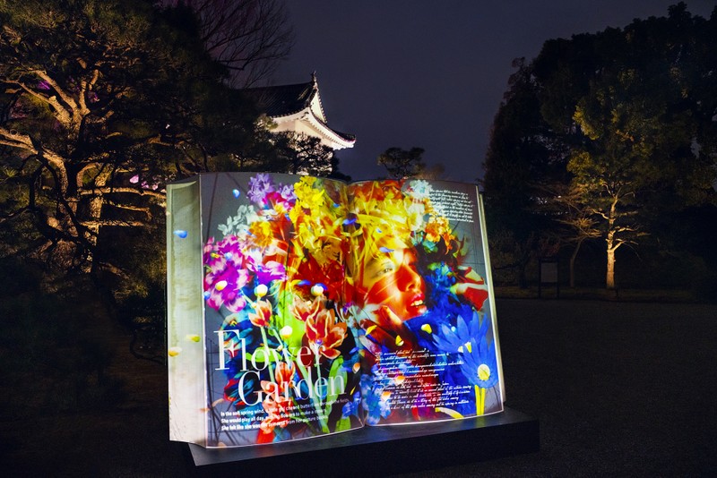 Nijo Castle Cherry Blossom Festival Features Sakura Light up