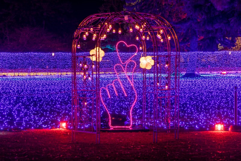 Odawara Castle Spring Lights Event-Light Corridor- Starts Tonight!