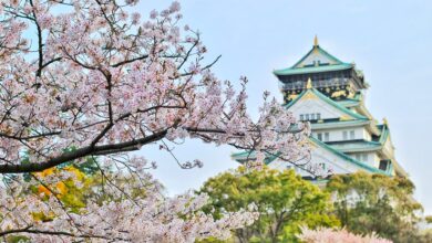 Japan Resumes Business Track, Shortening Quarantine To 3 Days