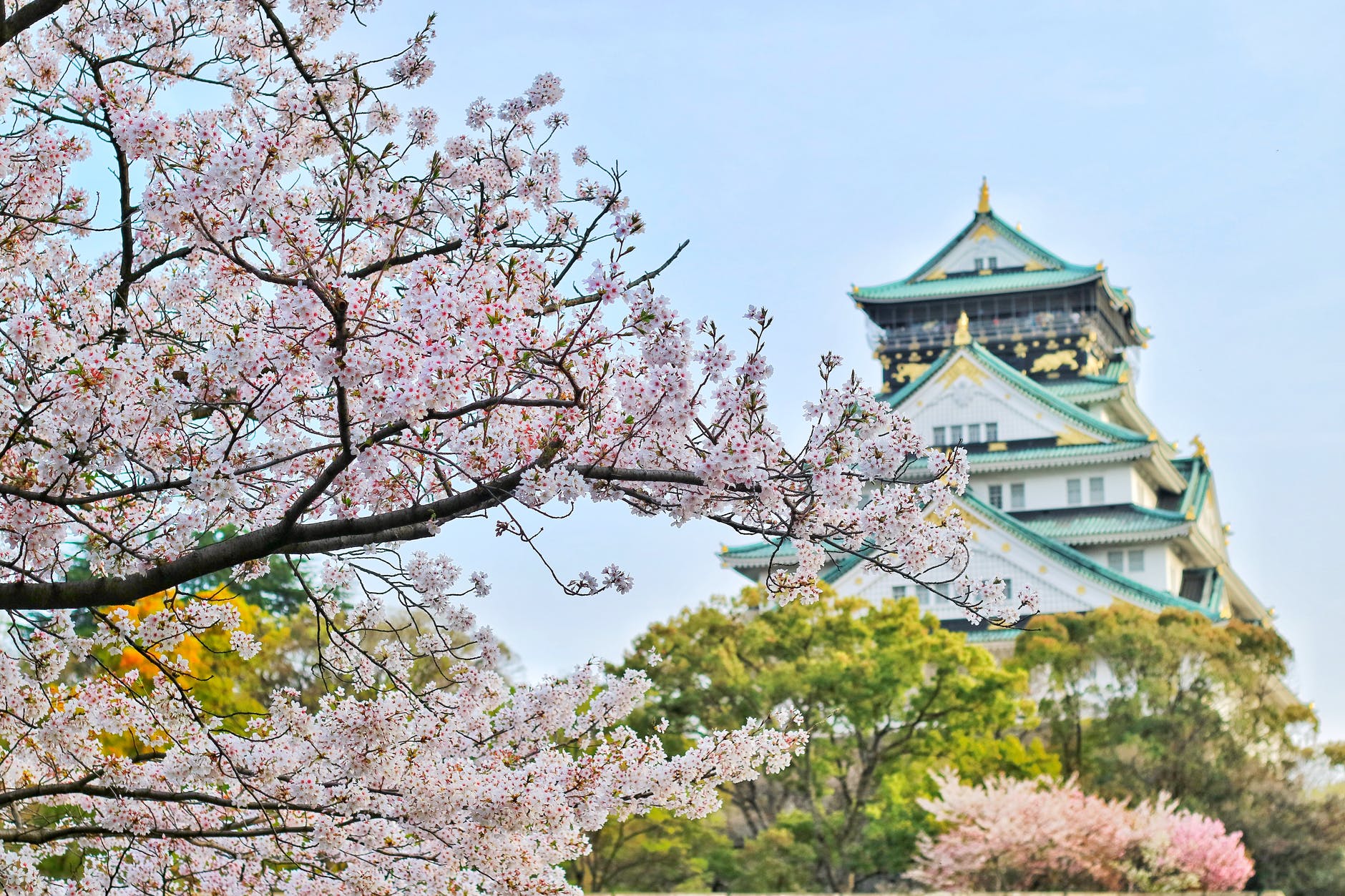 Japan Resumes Business Track, Shortening Quarantine To 3 Days