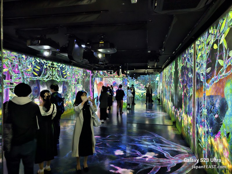 teamLab Launched New Project In Harajuku