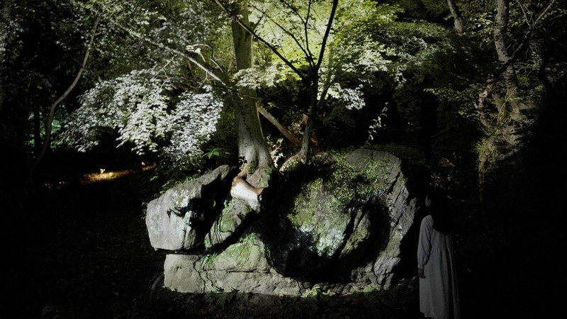 A Forest Where Gods Live Digitizes an Ancient Forest into an Interactive Art Space