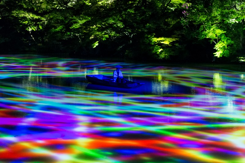A Forest Where Gods Live Digitizes an Ancient Forest into an Interactive Art Space