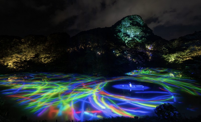 A Forest Where Gods Live Digitizes an Ancient Forest into an Interactive Art Space