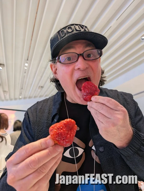 Echigohime Strawberries: Taste Niigata's Sweetest Treasure in Ginza