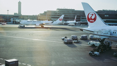 Discover Narita Beyond: Your Gateway to Local Japan!