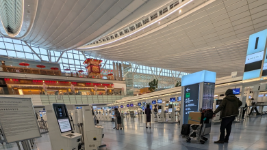 Haneda Airport Terminal 3: A Roaring Welcome for Inbound Tourists!
